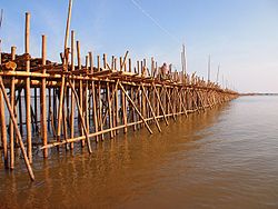 bamboo_bridge